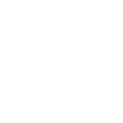 audi, ออดี้