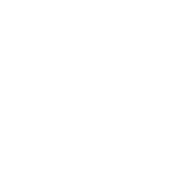 vivo, วีโว