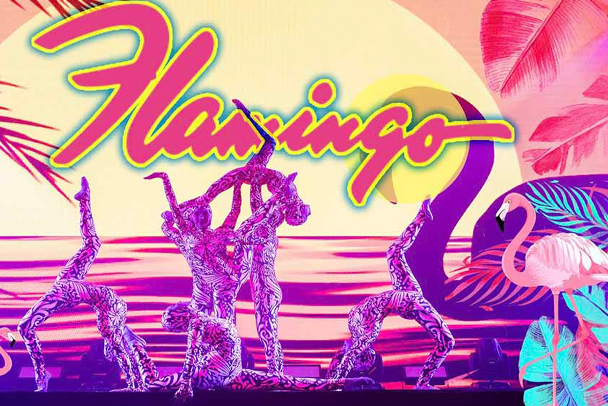 Flamingo Acrobatics