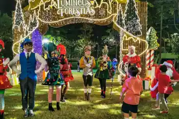 The Luminous Forestias 2022